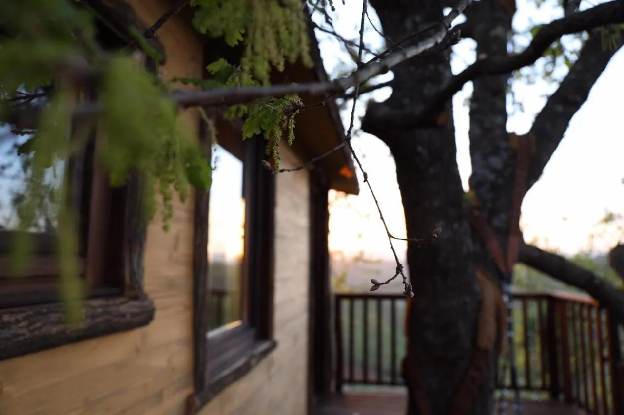 La Casa Sull'Albero Hotel Civitella Marittima 0*,  Italy
