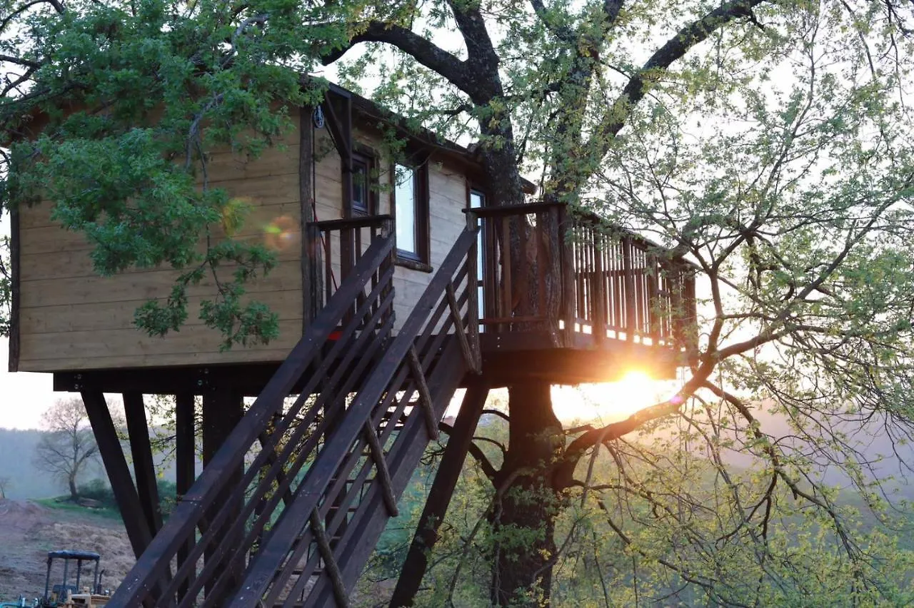 La Casa Sull'Albero Hotel Civitella Marittima