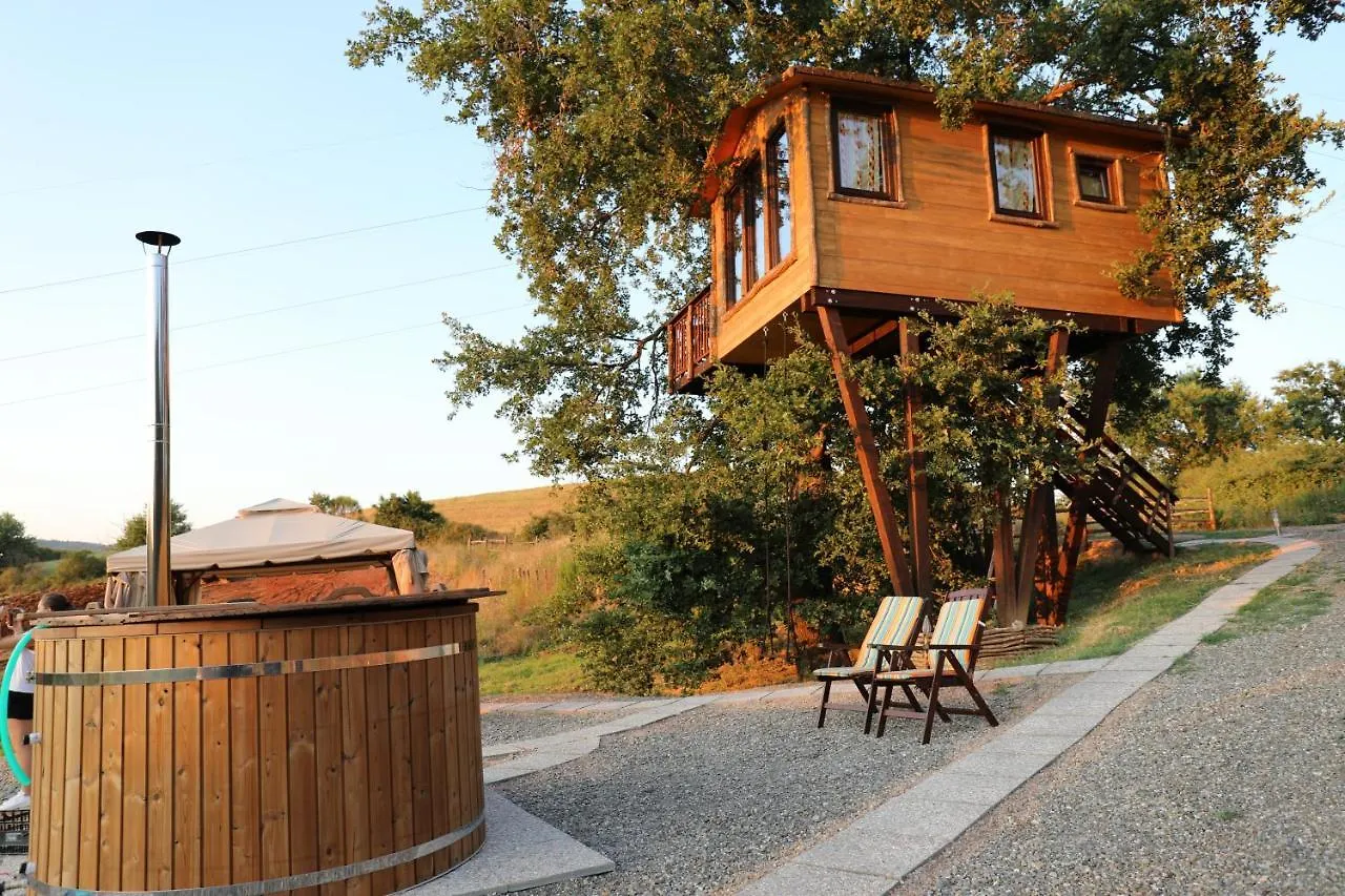La Casa Sull'Albero Hotel Civitella Marittima Italy