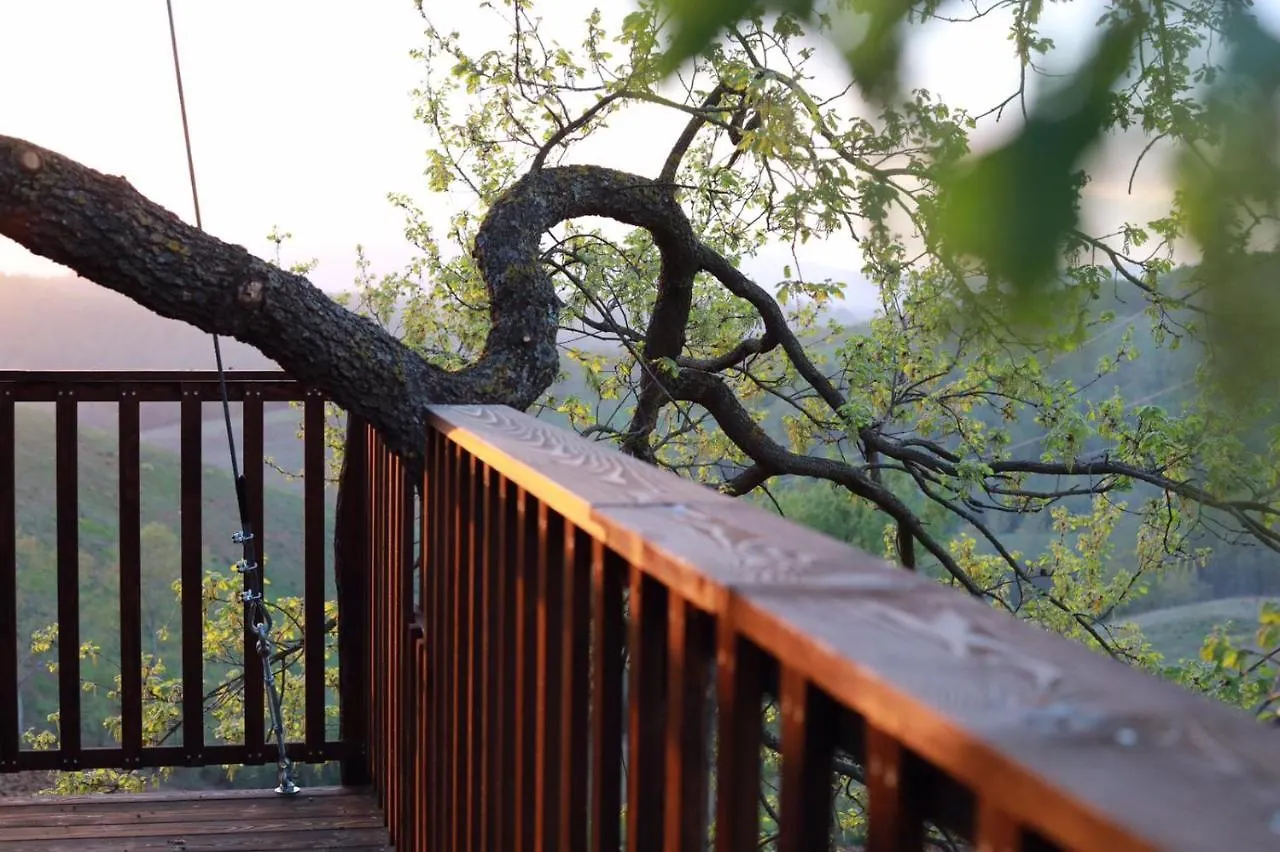 La Casa Sull'Albero Hotel Civitella Marittima Luxury tent